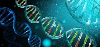 حصة أحياء أونلاين فردية (أول ثانوي)